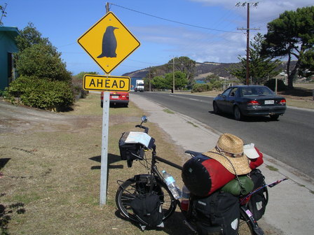 IMGP0900.jpg