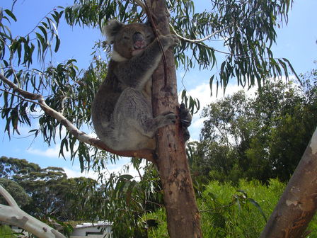 IMGP0958.jpg