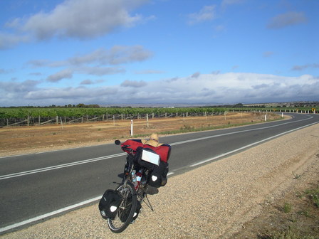 IMGP1099.jpg