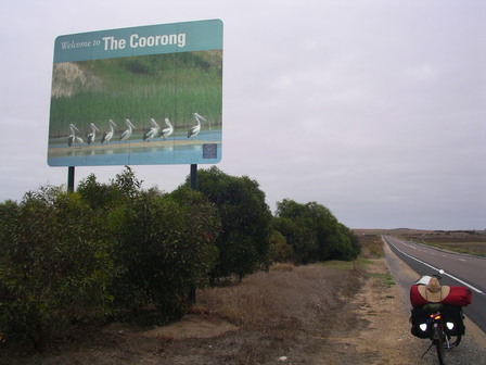 IMGP1113.jpg