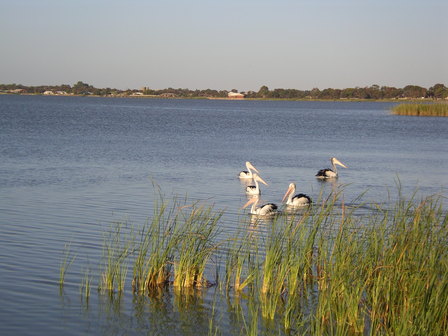 IMGP1117.jpg