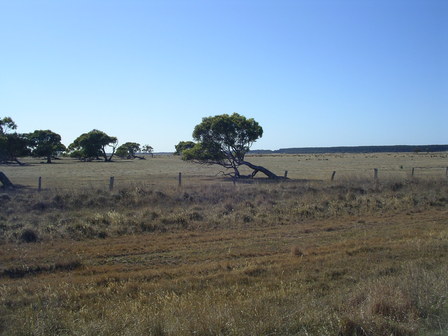 IMGP1153.jpg