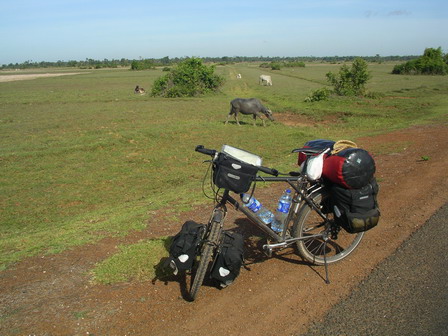IMGP0227.jpg
