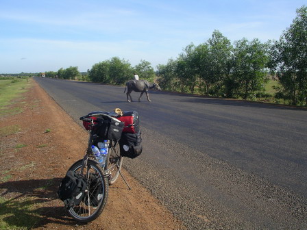 IMGP0228.jpg