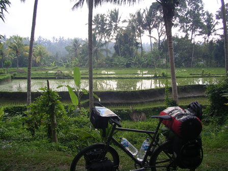 IMGP0594.jpg