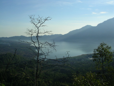 IMGP0603.jpg