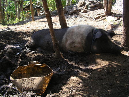 IMGP0664.jpg