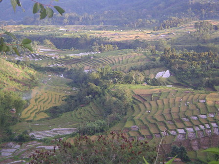 IMGP0780.JPG