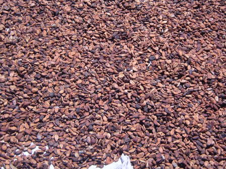 IMGP0785.jpg