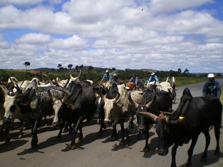 IMGP0021.JPG