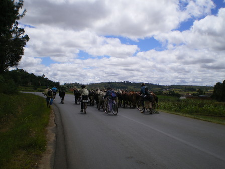 IMGP0022.JPG