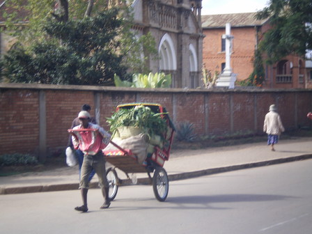IMGP0037.jpg