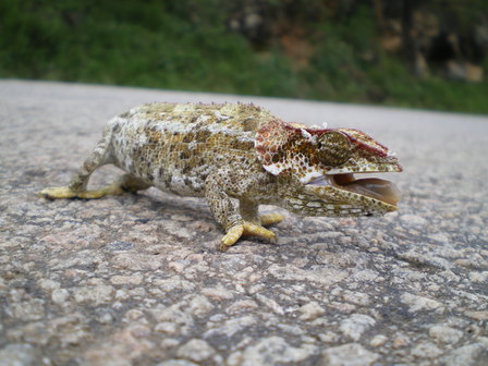 IMGP0052.jpg