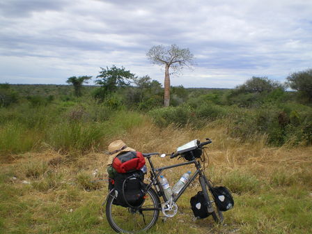 IMGP0153.JPG