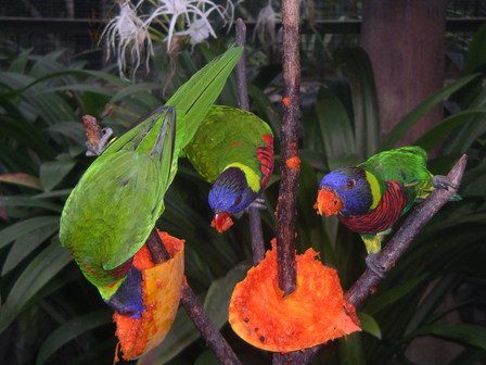 IMGP0491.JPG