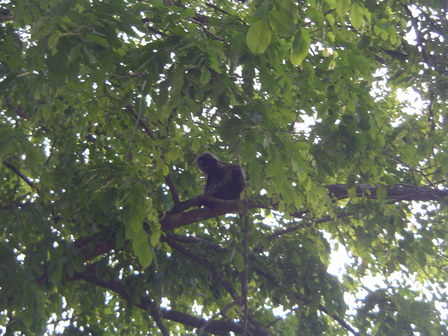 IMGP0533.JPG