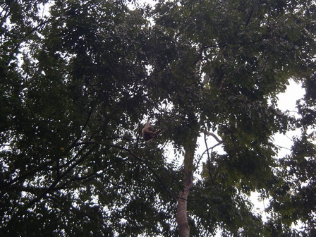 IMGP0195.jpg