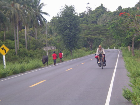 IMGP0409.jpg